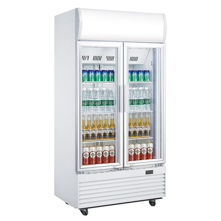 2 glass door cooler and merchandising cooler